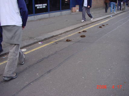 london3004.jpg