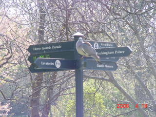 london4008.jpg